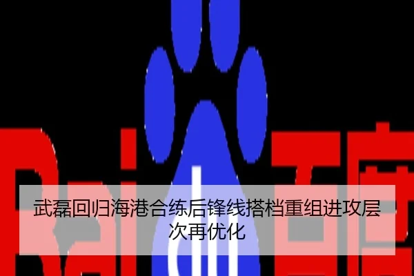 武磊回归海港合练后锋线搭档重组进攻层次再优化